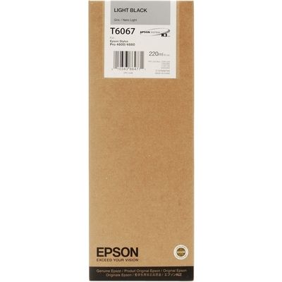 Epson C13T606740 Inktcartridge Licht-zwart