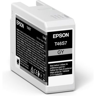 Epson T46S7 - Gris - Cartouche d'encre
