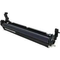 Ricoh D2442229 - Tambour