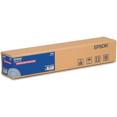 Epson S041390 Groot formaat