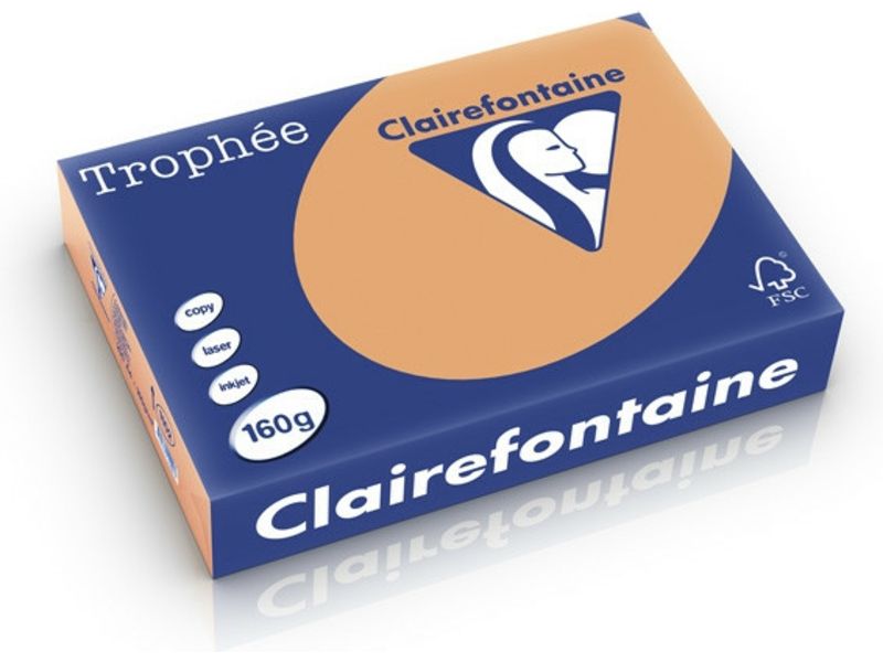 Clairefontaine Caramel A4 Gekleurd Papier 160 Grams (250 Vel)