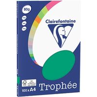 Clairefontaine Dennengroen A4 Gekleurd papier 80 grams (100 vel)