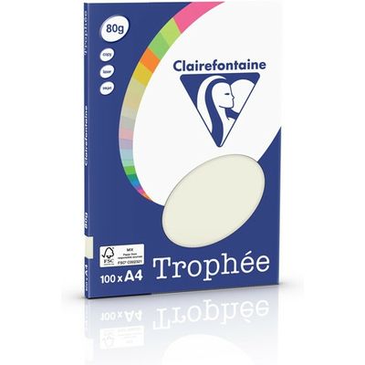 Clairefontaine Parelgrijs A4 Gekleurd papier 80 grams (100 vel)