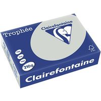 Clairefontaine Lichtgrijs A4 Gekleurd papier 210 grams (250 vel)