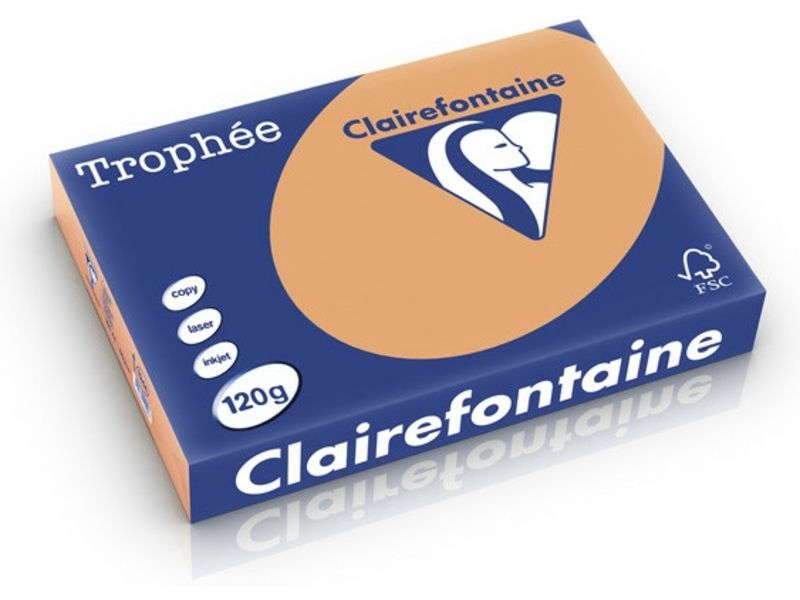 Clairefontaine Caramel A4 Gekleurd Papier 120 Grams (250 Vel)
