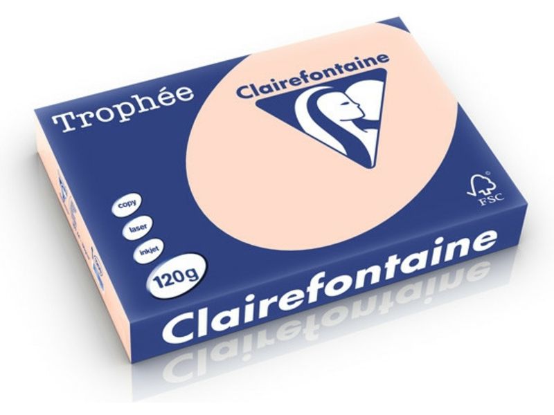 Clairefontaine Zalm A4 Gekleurd Papier 120 Grams (250 Vel)