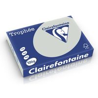 Clairefontaine Lichtgrijs A4 Gekleurd papier 120 grams (250 vel)