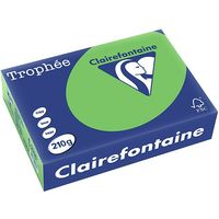 Clairefontaine Grasgroen A4 Gekleurd papier 210 grams (250 vel)