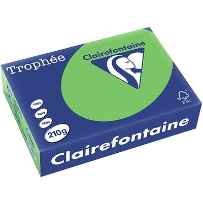 Clairefontaine Vert d'herbe A4 Papier couleur 210 g/m² (250 feuilles)