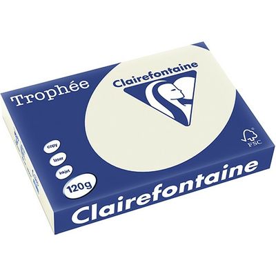 Clairefontaine Gris perle A4 Papier couleur 120 g/m² (250 feuilles)