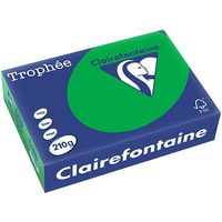 Clairefontaine Biljartgroen A4 Gekleurd papier 210 grams (250 vel)