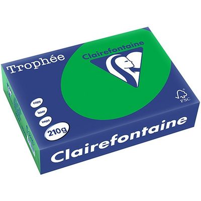Clairefontaine Vert Billard Papier couleur A4 210 g/m² (250 feuilles)