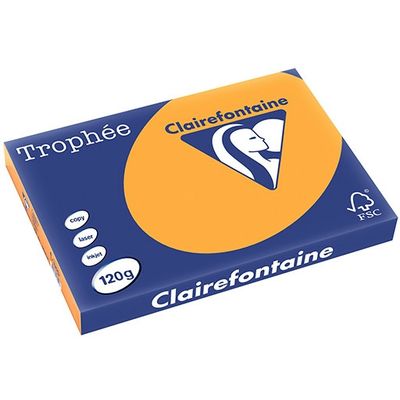 Clairefontaine Oranje A3 Gekleurd papier 120 grams (250 vel)