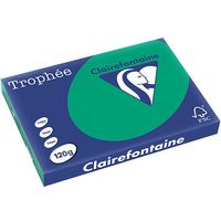 Clairefontaine Dennengroen A3 Gekleurd papier 120 grams (250 vel)
