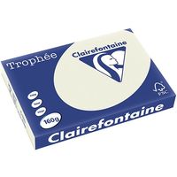 Clairefontaine Parelgrijs A3 Gekleurd papier 160 grams (250 vel)